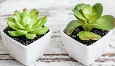 artifical plants 620x300 1